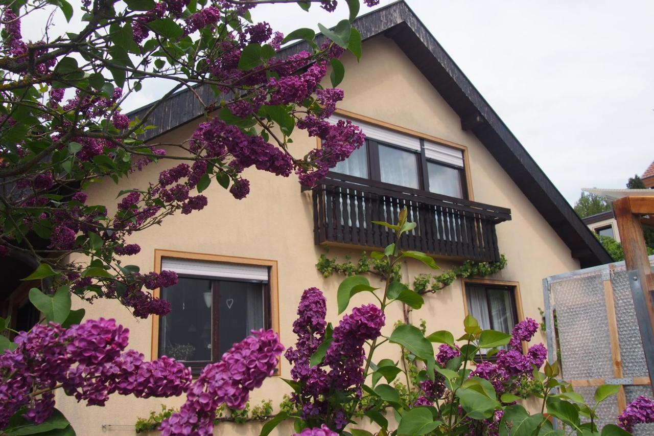 Haus Sonneneck Daire Bad Bocklet Dış mekan fotoğraf